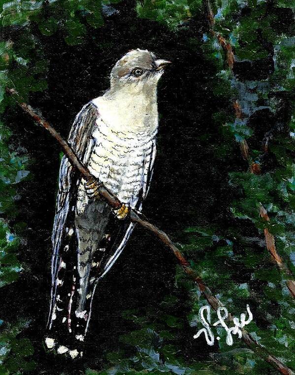Bird Poster featuring the painting Common Cuckoo by VLee Watson