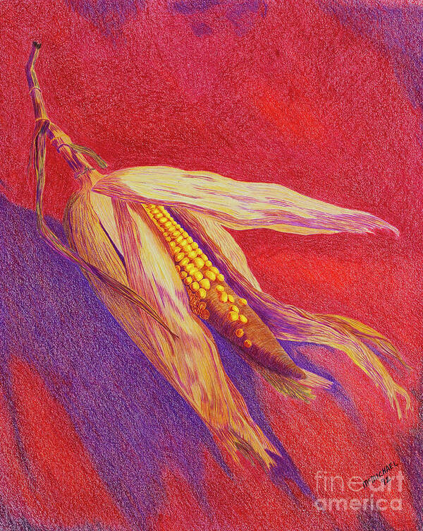 Corn Poster featuring the drawing Corn Cob by Garry McMichael