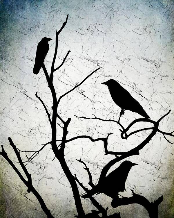 Bird Poster featuring the digital art Crow Birds on Tree Bird 91 by Lucie Dumas