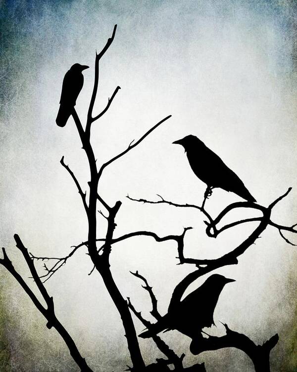 Bird Poster featuring the digital art Crow Birds on Trees Bird 90 by Lucie Dumas