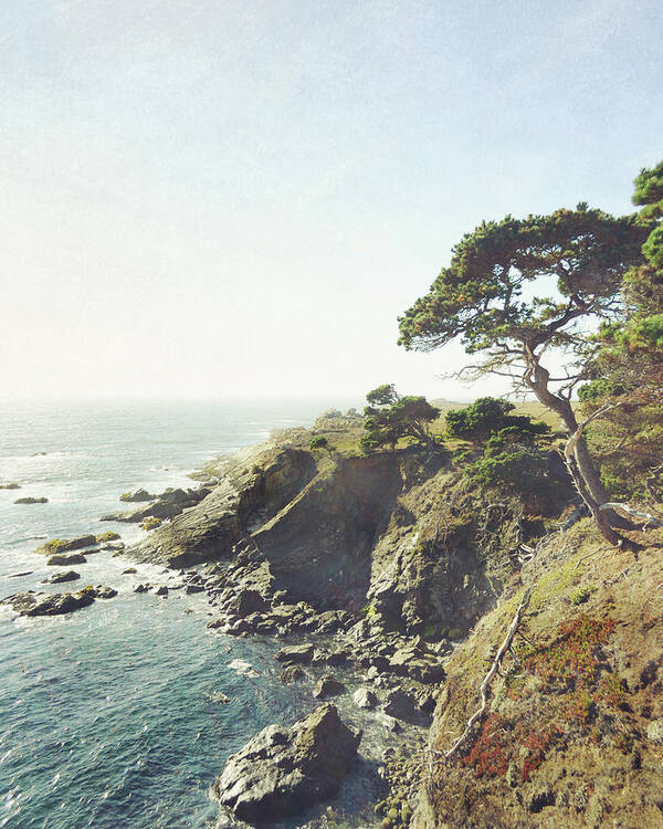 Cypress Poster featuring the photograph Cypress Above Rocky Coast by Lupen Grainne