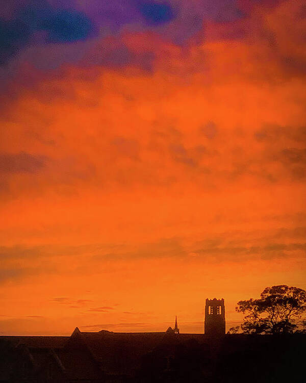 University Of Florida Poster featuring the photograph December Sunset Over the University of Florida by Lora J Wilson