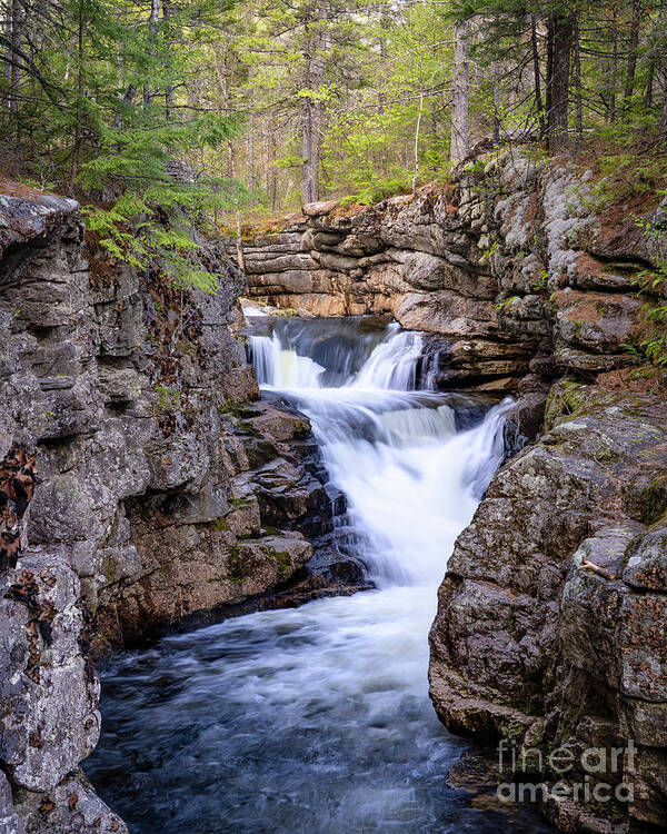 2021 Poster featuring the photograph Devil's Den Waterfall by Craig Shaknis