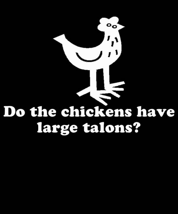 Funny Poster featuring the digital art Do The Chickens Have Large Talons by Flippin Sweet Gear