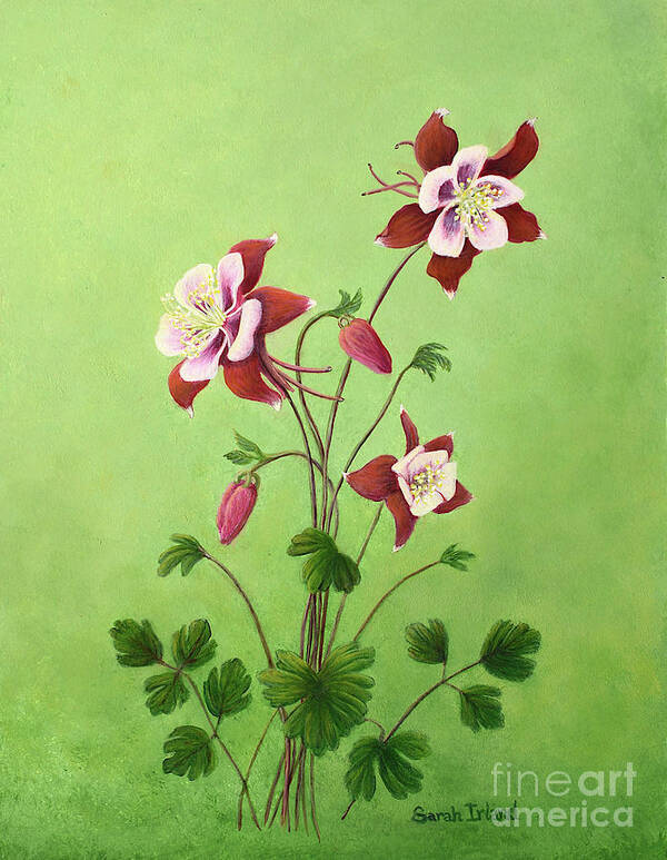 Portrait Poster featuring the painting Eastern Red Columbine by Sarah Irland