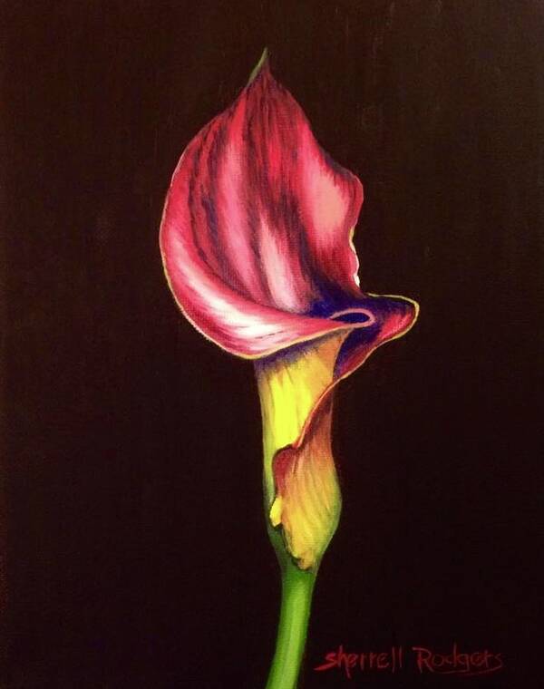 Painting Poster featuring the painting Elegant Calla Lily by Sherrell Rodgers