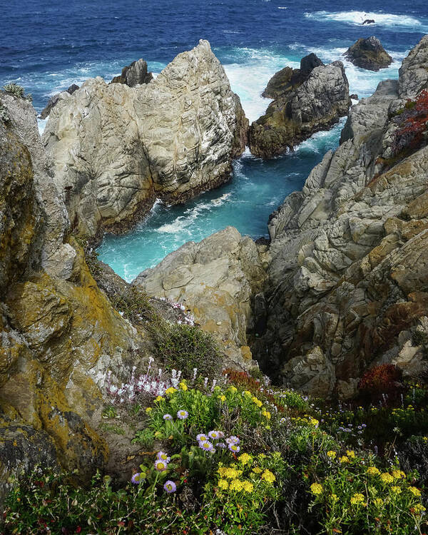 Point Lobos Poster featuring the photograph North Point by Brett Harvey