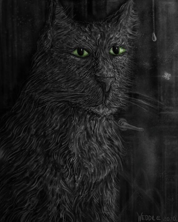 Cat Poster featuring the digital art Enchanted by Angela Weddle