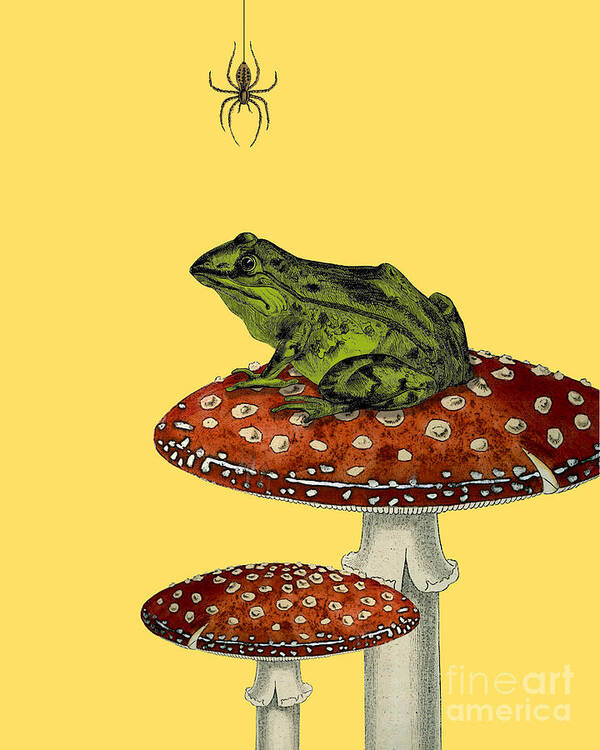 Frog Poster featuring the digital art Fantasy frog with spider by Madame Memento