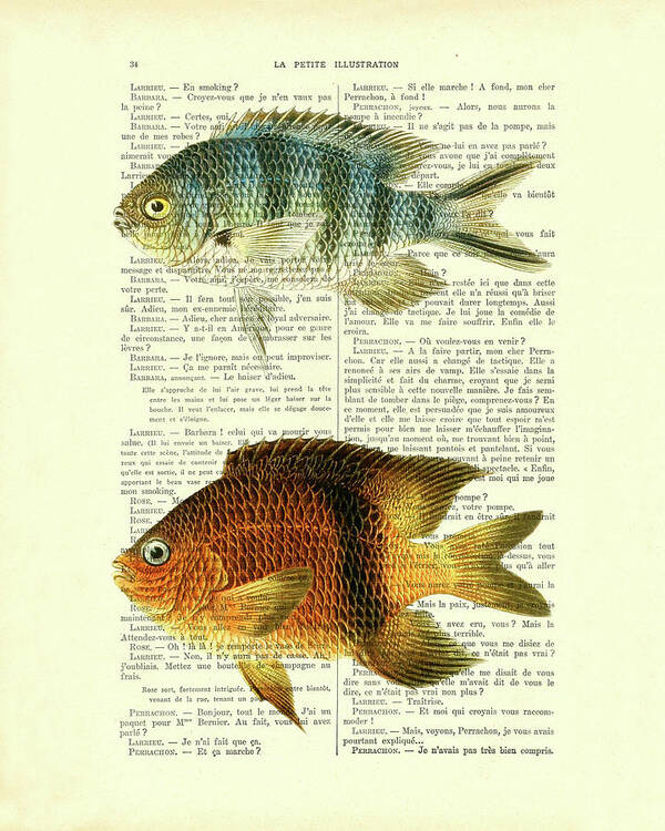 Fish Poster featuring the digital art Fish species in color by Madame Memento
