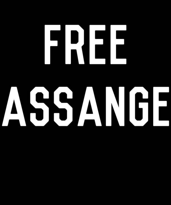 Wikileaks Poster featuring the digital art Free Assange by Flippin Sweet Gear