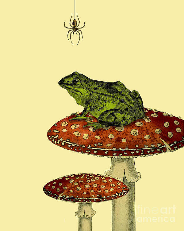 Frog Poster featuring the digital art Frog and Spider by Madame Memento