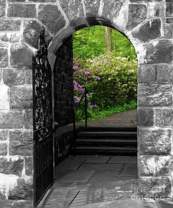Black And White Poster featuring the photograph Garden Entryway Selective Black and White Nature / Floral / Botanical Photograph by PIPA Fine Art - Simply Solid