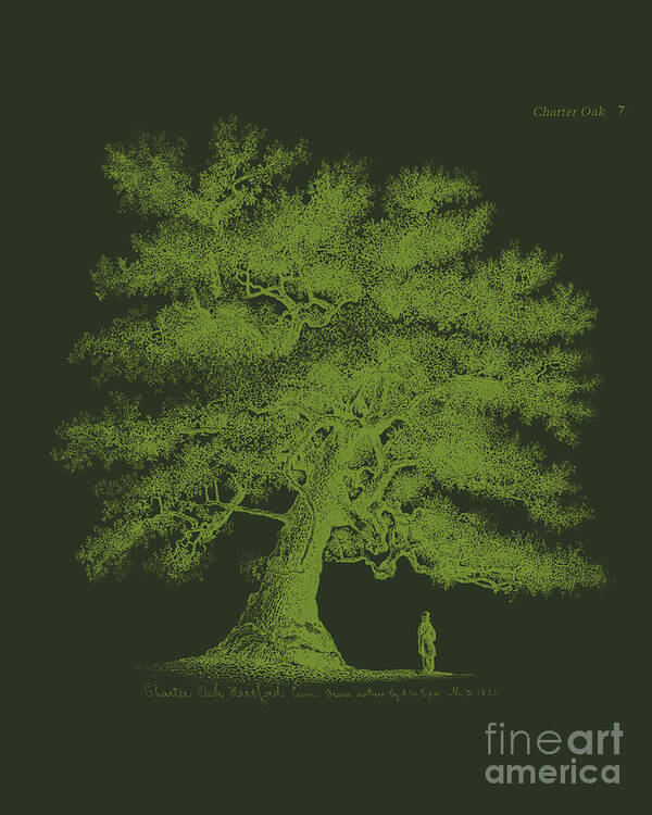 Oak Poster featuring the digital art Giant Oak Tree by Madame Memento
