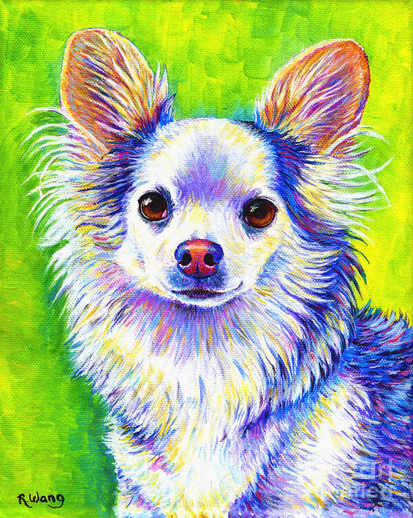 Chihuahua Poster featuring the painting Colorful Cute Longhaired Chihuahua Dog by Rebecca Wang