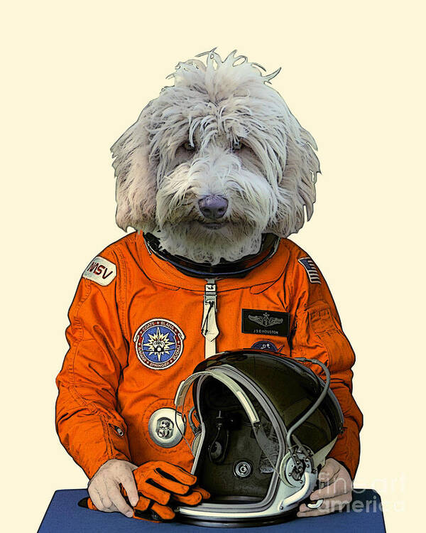 Labradoodle Poster featuring the digital art Goldendoodle cosmonaut portrait by Madame Memento