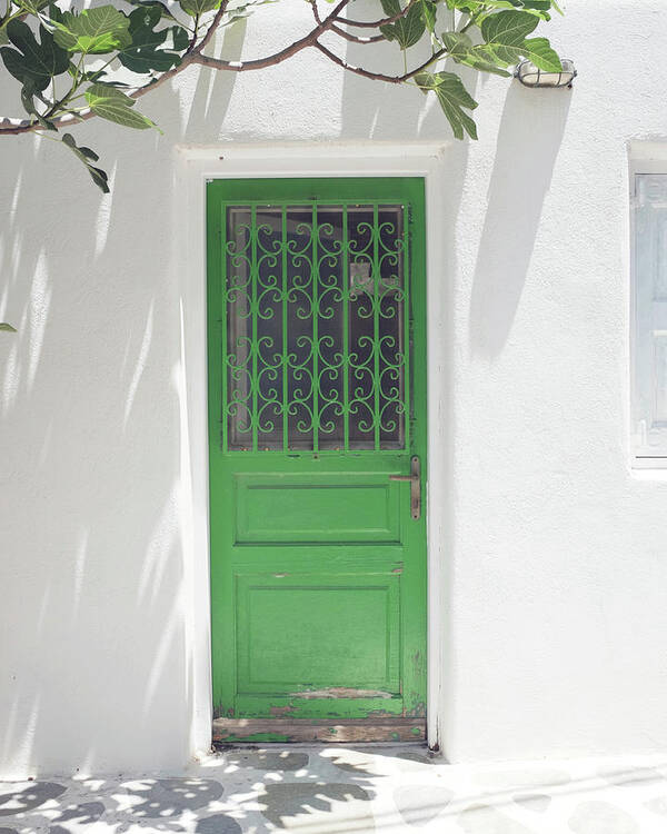 Greece Poster featuring the photograph Green Door and Fig Tree by Lupen Grainne
