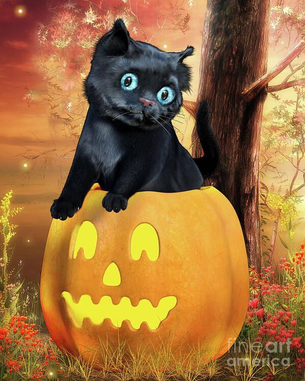 Black Cat Poster featuring the digital art Halloween Black Kitten and Pumpkin by Alicia Hollinger