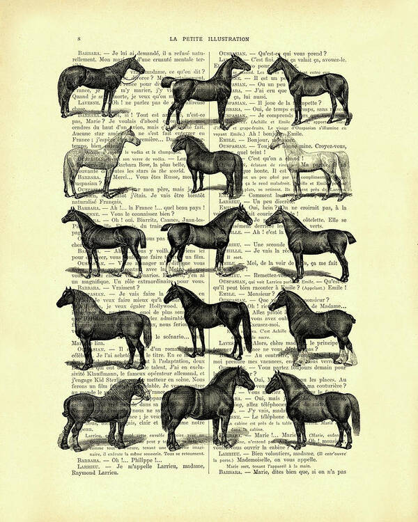 Horse Poster featuring the mixed media Horse Breeds by Madame Memento