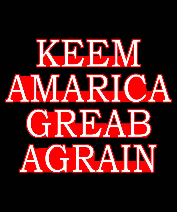 Democrat Poster featuring the digital art Keem Amarica Greab Agrain Misspelled Anti Trump by Flippin Sweet Gear