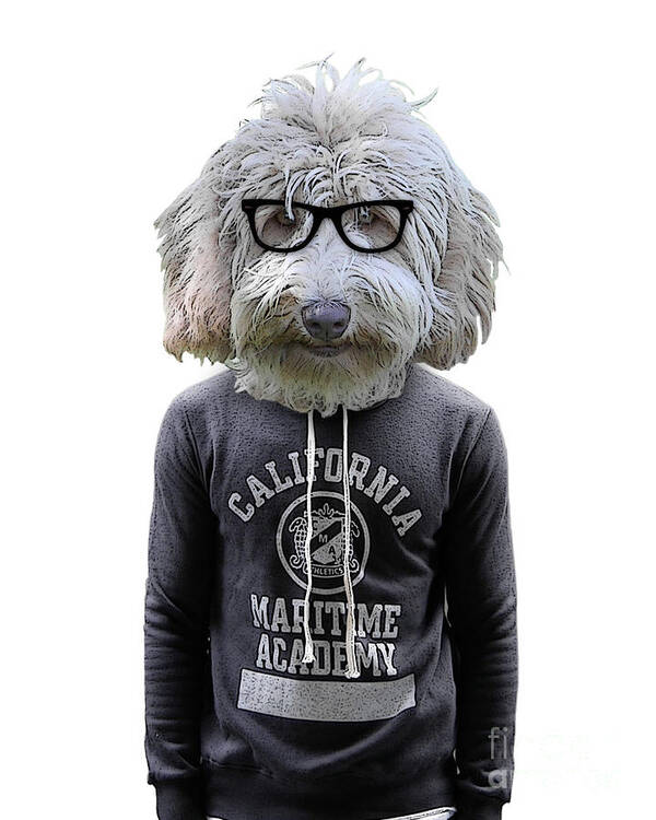 Labradoodle Poster featuring the digital art Labradoodle hipster by Madame Memento