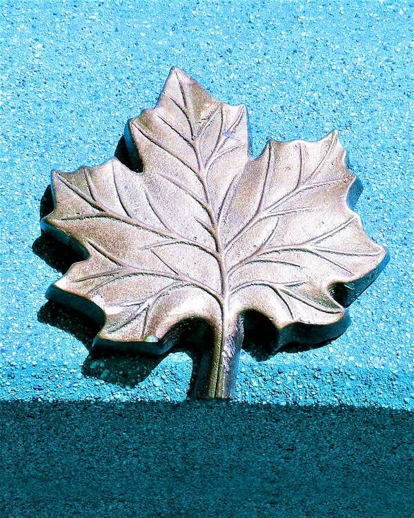 Leaves Poster featuring the photograph Leaf Sculpture by Andrew Lawrence