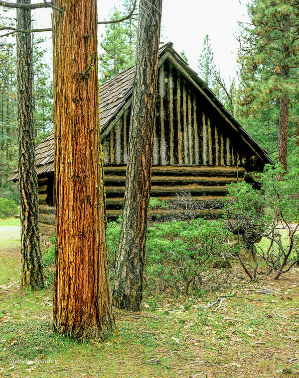 Usa Poster featuring the photograph Log Cabin in the Woods by Randy Bradley
