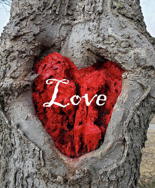 Love Poster featuring the photograph LOVE Red Heart In a Tree by Lynnie Lang