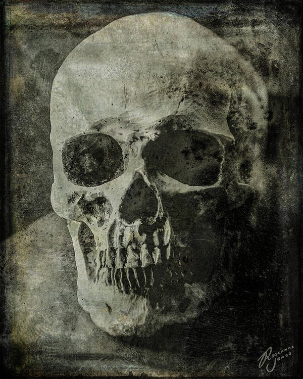 Skull Poster featuring the photograph Macabre Skull 2 by Roseanne Jones