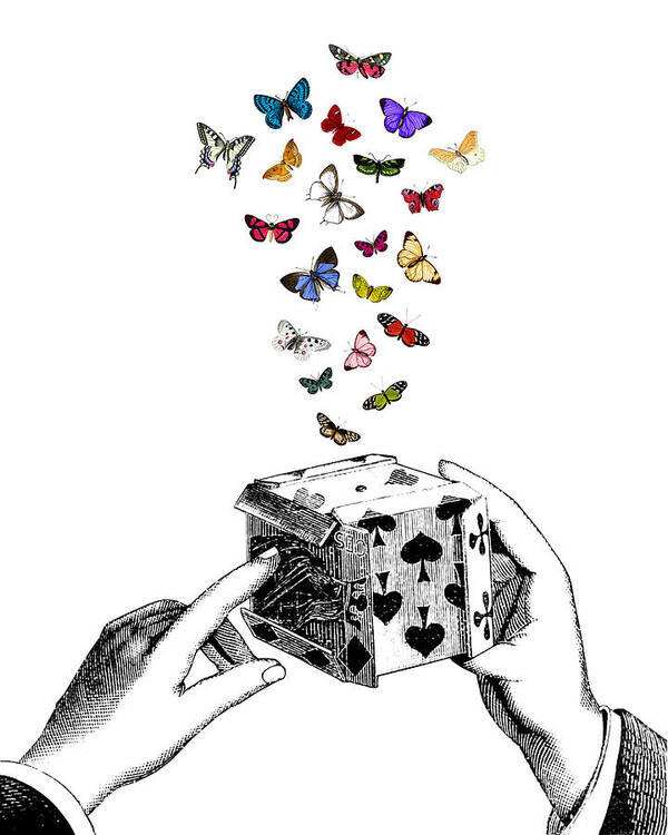 Butterfly Poster featuring the digital art Magic Box by Madame Memento