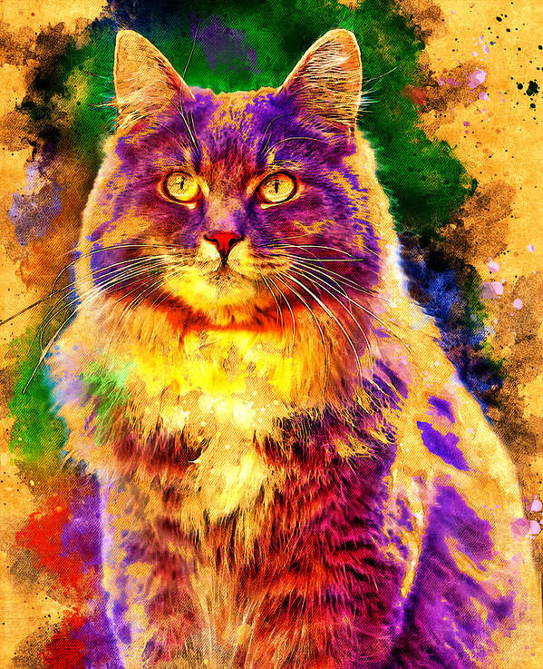 Maine Coon Poster featuring the digital art Maine Coon cat sitting - digital painting with vintage look by Nicko Prints