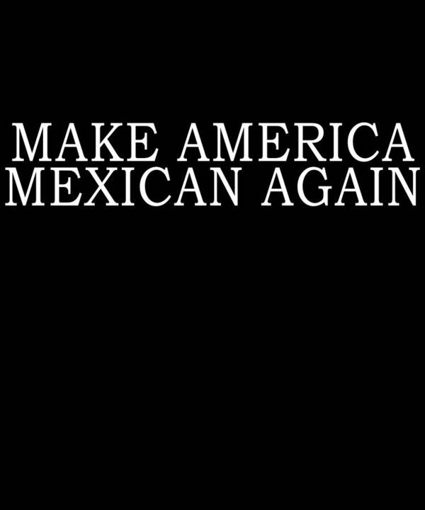 Funny Poster featuring the digital art Make America Mexican Again by Flippin Sweet Gear