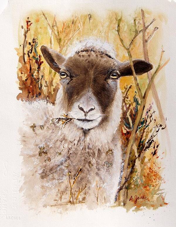 Sheep Poster featuring the painting Matilda by Anna Jacke