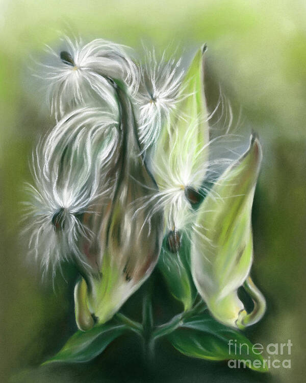Botanical Poster featuring the painting Milkweed Pods and Seeds by MM Anderson
