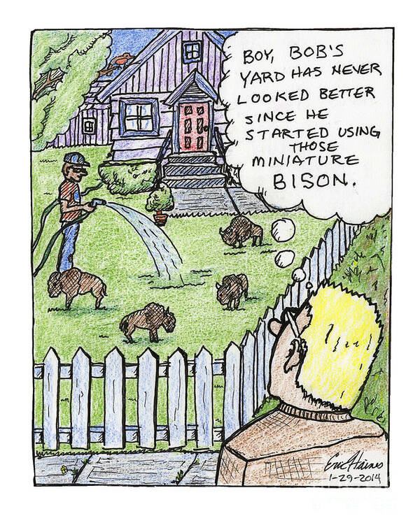 Funny Poster featuring the drawing Miniature Bison by Eric Haines