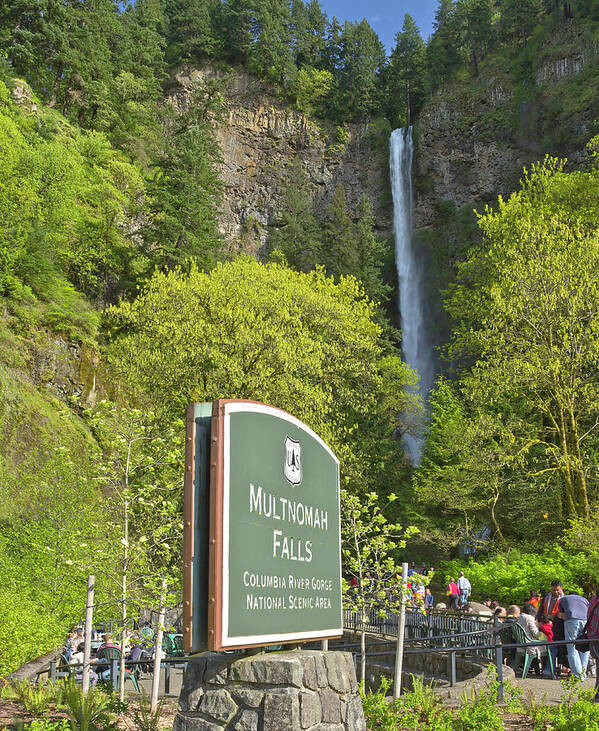 State Parks Poster featuring the photograph Multnomah Falls Columbia River Gorge Oregon. by Gino Rigucci
