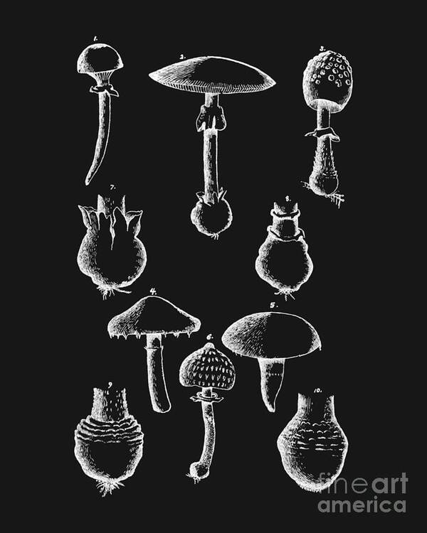 Mushroom Poster featuring the digital art Mushroom Chart In White by Madame Memento