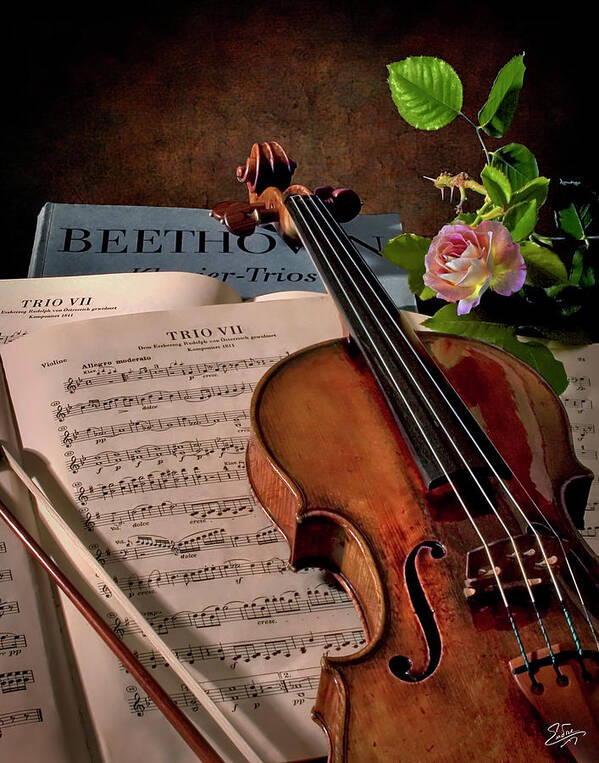 Strad Poster featuring the photograph Music Is The Universal Language by Endre Balogh