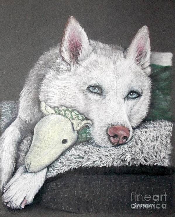 Husky Poster featuring the drawing Mylo by Pamela Sanders