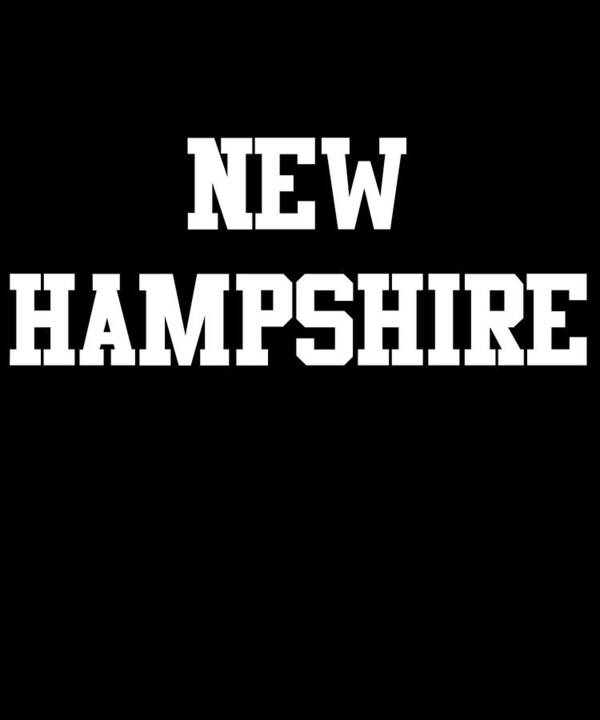 Funny Poster featuring the digital art New Hampshire by Flippin Sweet Gear