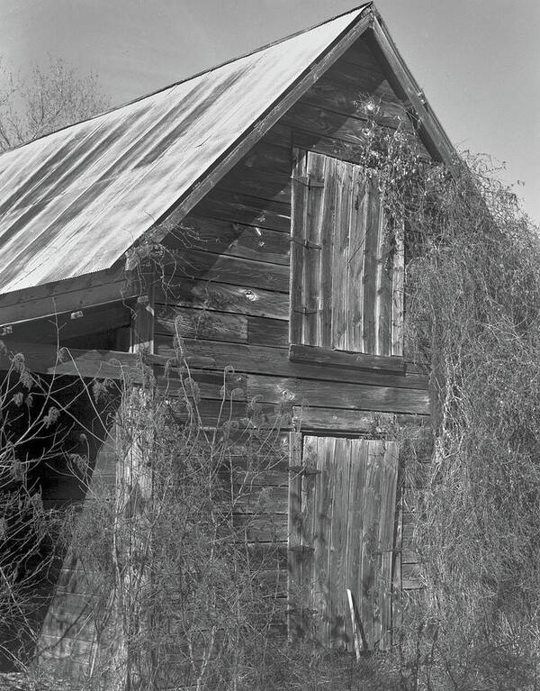 Barn Poster featuring the photograph Old Shed, Harris County, 1985 by John Simmons