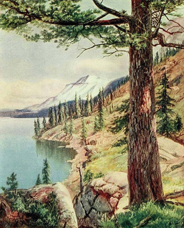 Lake Tahoe Poster featuring the painting On the Shore of Lake Tahoe from On Sunset Highways 1921 by Henry Bagg