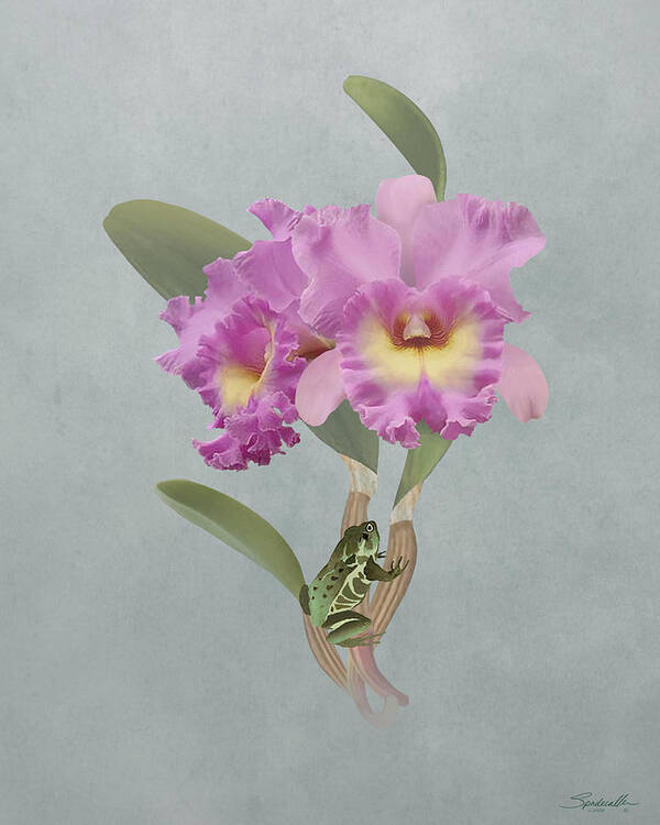 Flower Poster featuring the mixed media Orchid Seduction by M Spadecaller