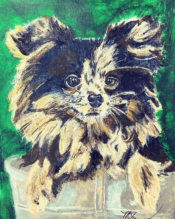 Pomeranian-chihuahua Cross Poster featuring the painting Paisley by Melody Fowler