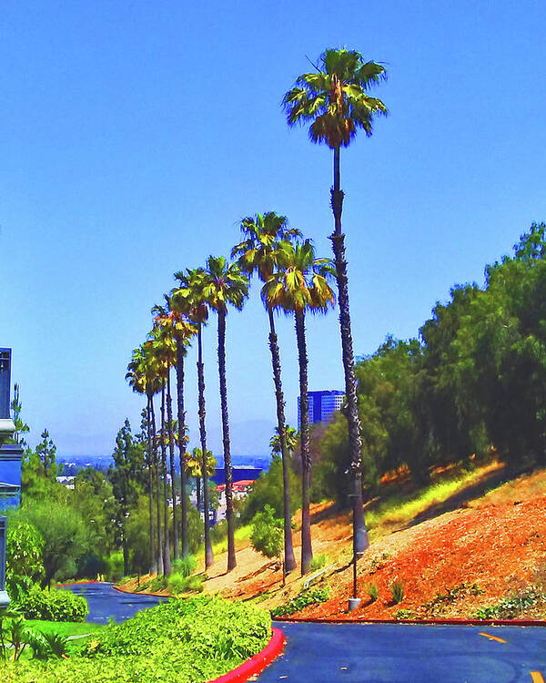 Palm Trees Poster featuring the photograph Palm Tree Road by Andrew Lawrence