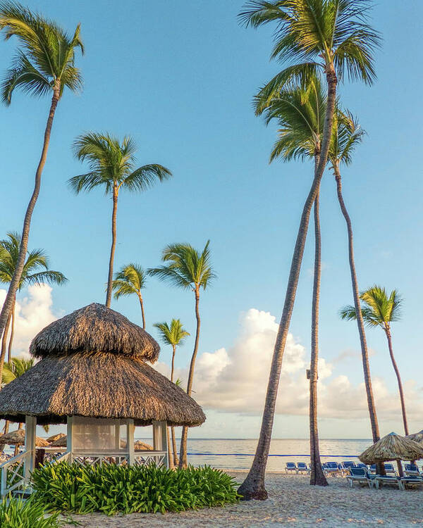 Water Poster featuring the photograph Palms at the Beach by Betty Eich