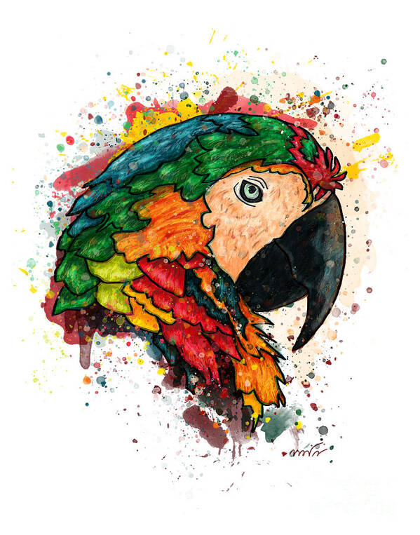 Parrot Poster featuring the painting Parrot portrait painting on white background, Macaw parrot by Nadia CHEVREL