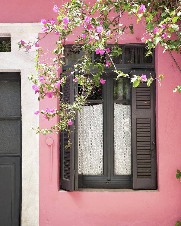 Architecture Poster featuring the photograph Pink House with Black Shutters by Lupen Grainne