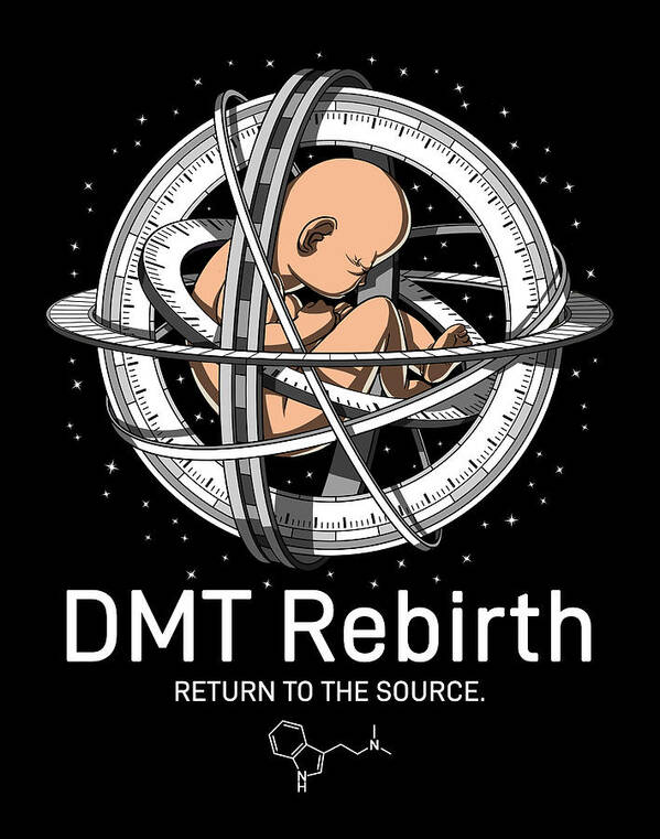 Dmt Poster featuring the digital art Psychedelic DMT Trip by Nikolay Todorov