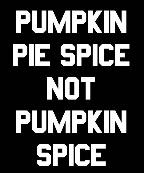 Funny Poster featuring the digital art Pumpkin Pie Spice Not Pumpkin Spice by Flippin Sweet Gear